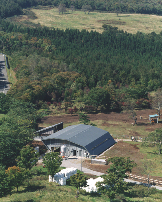 安比高原牧場牛舎